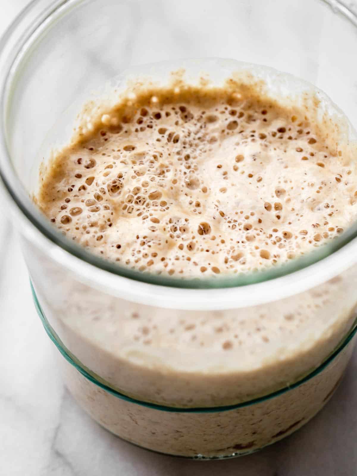 Sourdough Starter Recipe